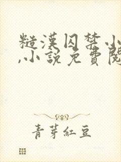 糙汉囚禁小美人,小说免费阅读