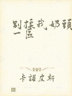 别揉我奶头嗯啊一区封面