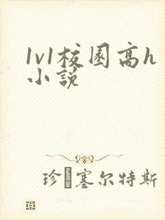 1v1校园高h小说