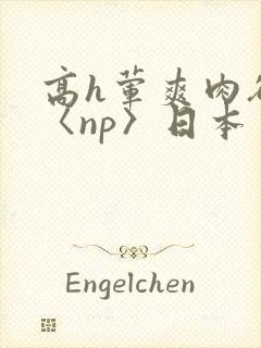高h荤爽肉欲文〈np〉日本