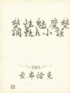 双性魅魔双性受调教h小说