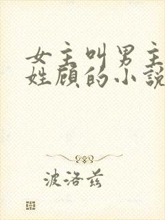 女主叫男主叔叔姓顾的小说