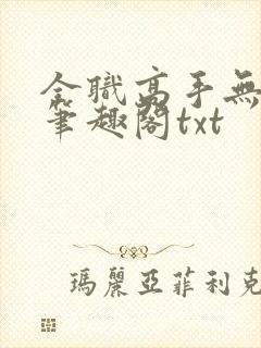 全职高手无弹窗笔趣阁txt
