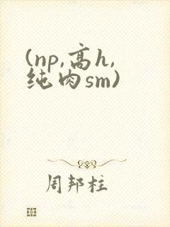 (np,高h,纯肉sm)