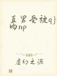 直男受被qj全肉np封面