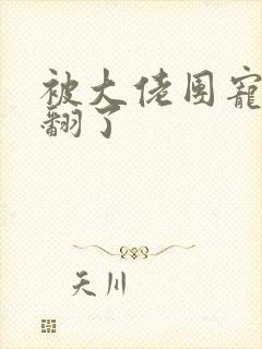 被大佬团宠后野翻了