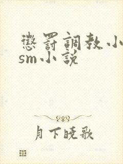 惩罚调教小母狗sm小说