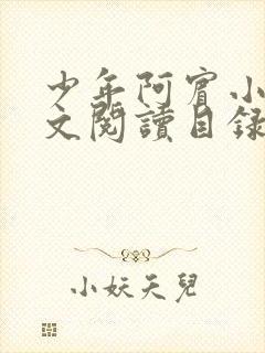 少年阿宾小说全文阅读目录免费封面