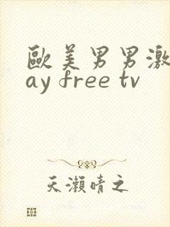 欧美男男激情gay free tv