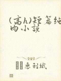 (高h)短篇纯肉小说