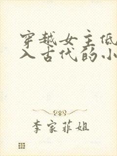 穿越女主低调融入古代的小说