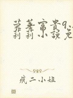 荣华富贵9小王莉莉小说免费阅读