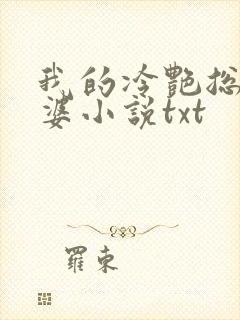 我的冷艳总裁老婆小说txt封面