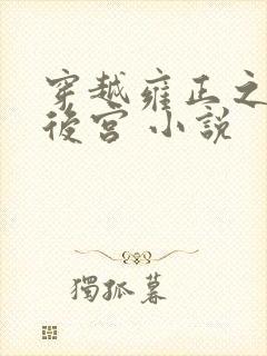 穿越雍正之极品后宫 小说