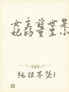 女主前世是太子妃的重生小说