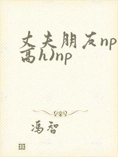 丈夫朋友np(高h)np