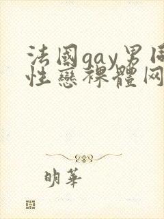 法国gay男同性恋裸体网址