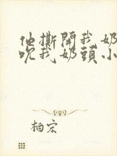 他撕开我奶罩揉吮我奶头小说