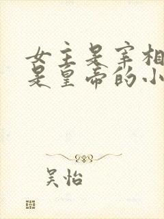 女主是宰相男主是皇帝的小说