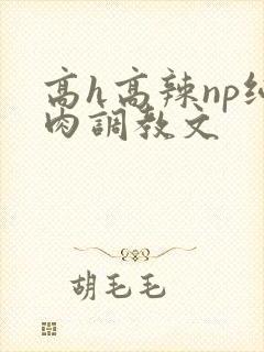 高h高辣np纯肉调教文