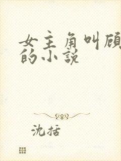 女主角叫顾清欢的小说封面