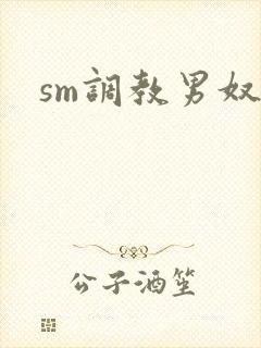 sm调教男奴文