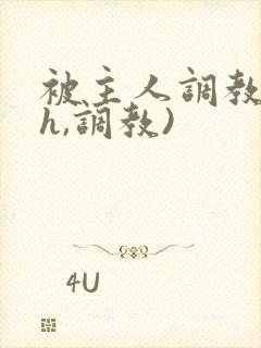 被主人调教(高h,调教)