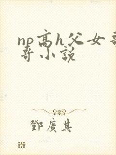 np高h父女哥哥小说