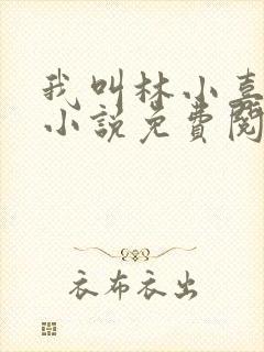 我叫林小喜全文小说免费阅读封面