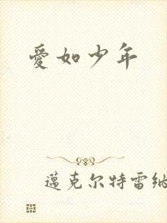爱如少年