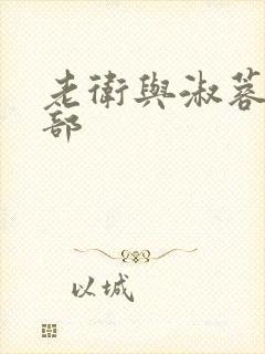 老卫与淑蓉第二部封面