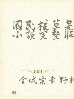 国民校草是女生小说完整版