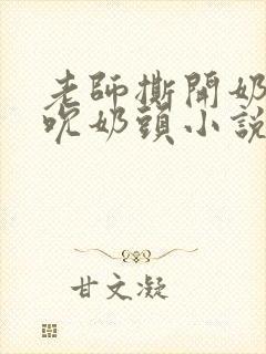 老师撕开奶罩揉吮奶头小说封面