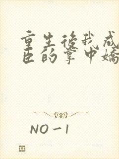 重生后我成了权臣的掌中娇完全版封面