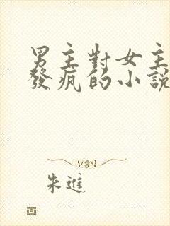 男主对女主爱到发疯的小说封面