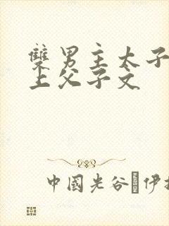 双男主太子与皇上父子文