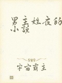 男主姓夜的现代小说