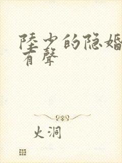 陆少的隐婚罪妻有声封面
