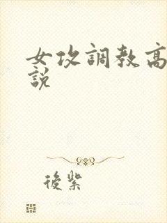 女攻调教高h小说封面