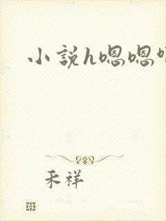 小说h嗯嗯啊啊封面