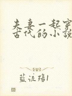 夫妻一起穿越到古代的小说