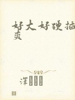 好大好硬插的好爽