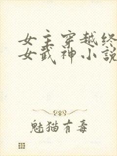 女主穿越终末的女武神小说