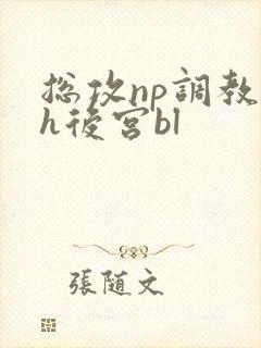 总攻np调教高h后宫bl