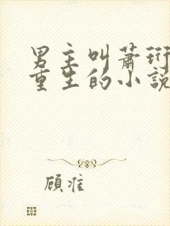 男主叫萧珩女主重生的小说