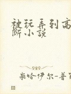 被玩弄到高潮不断小说