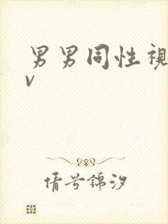 男男同性视频gv封面