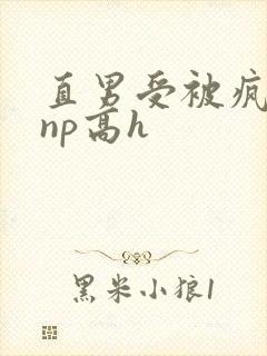 直男受被疯批强np高h