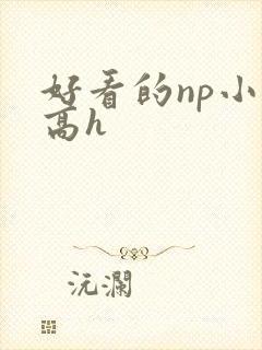 好看的np小说高h