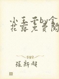 小王子by金银花露免费阅读笔趣阁封面